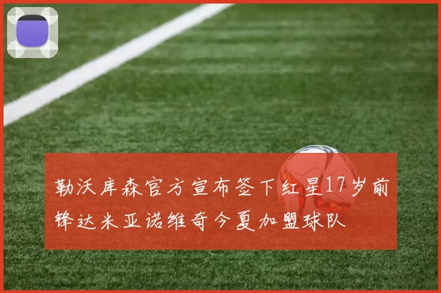 勒沃库森官方宣布签下红星17岁前锋达米亚诺维奇今夏加盟球队